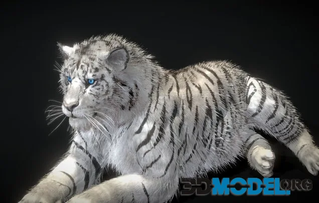 White Tiger (PBR)