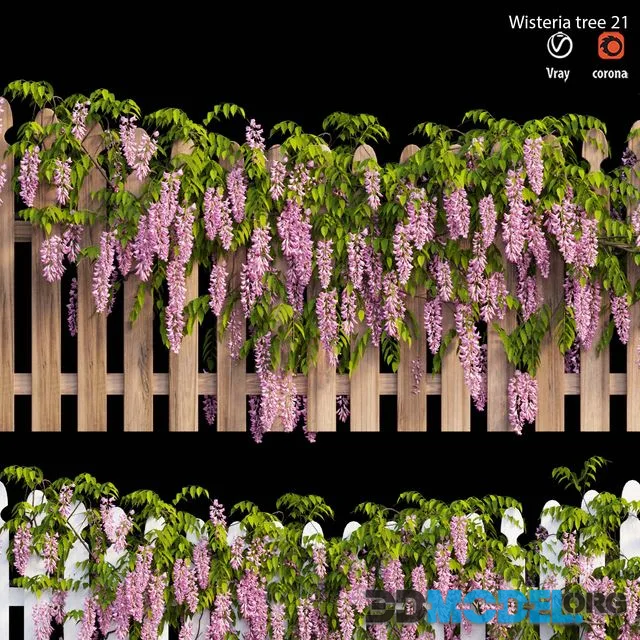 Wisterial plant 21