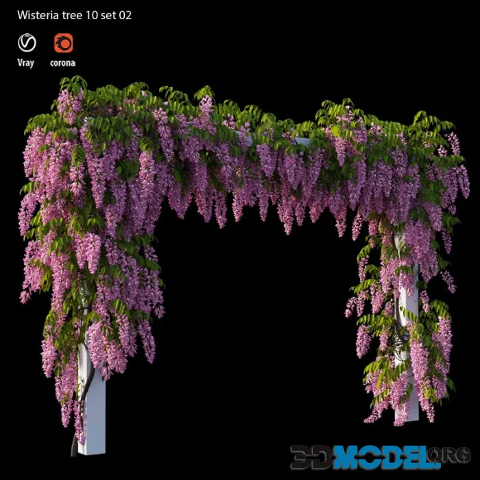 Wisterial tree 10 set 02