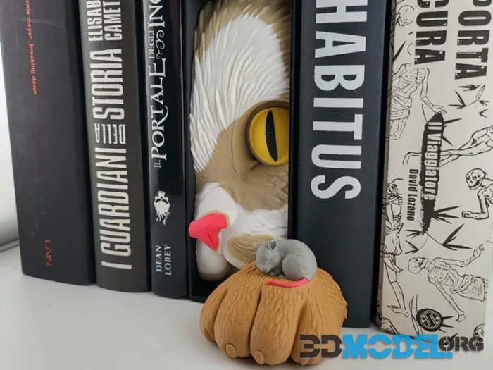 Sweet Cat & Mouse Book Nook - Friendship Insert – Printable