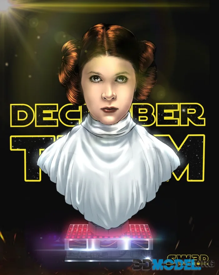 SW3D - Leia Bust Portrait – Printable
