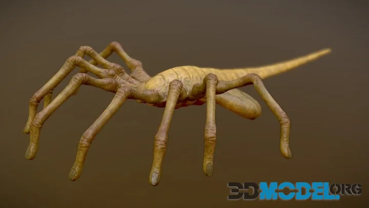 Animated Facehugger