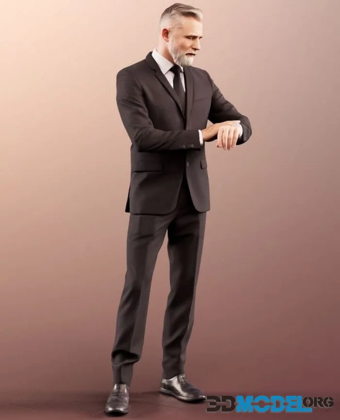 Businessman ceo beard hipster boss best-ager (PBR)