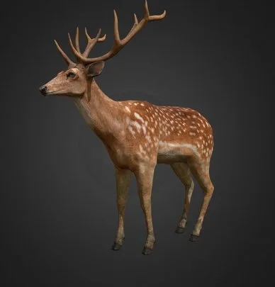 Deer Stag (PBR)
