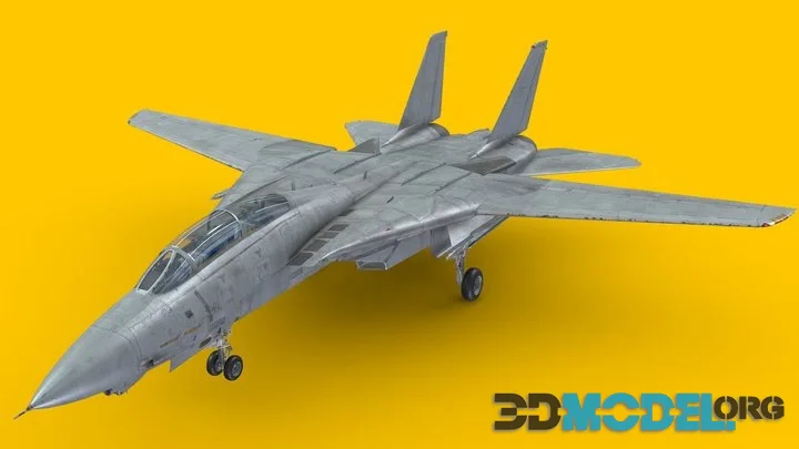 F 14 Tomcat Fighter Jet (PBR)