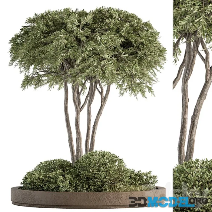 Garden set ivy and Bush – Garden Set 19
