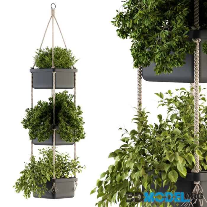 Hanging pot with Rope – indoor Plants 164