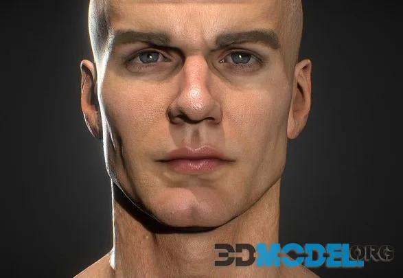 Henry Cavill 3D Model (PBR)