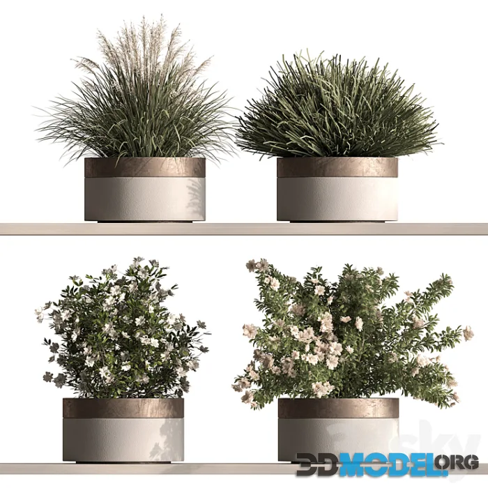 Indoor Plant 948 – Hanging Plants