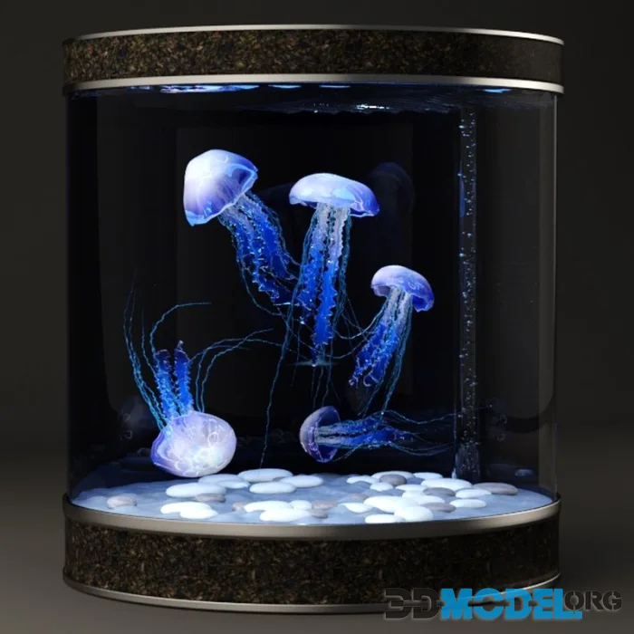 Jellyfish