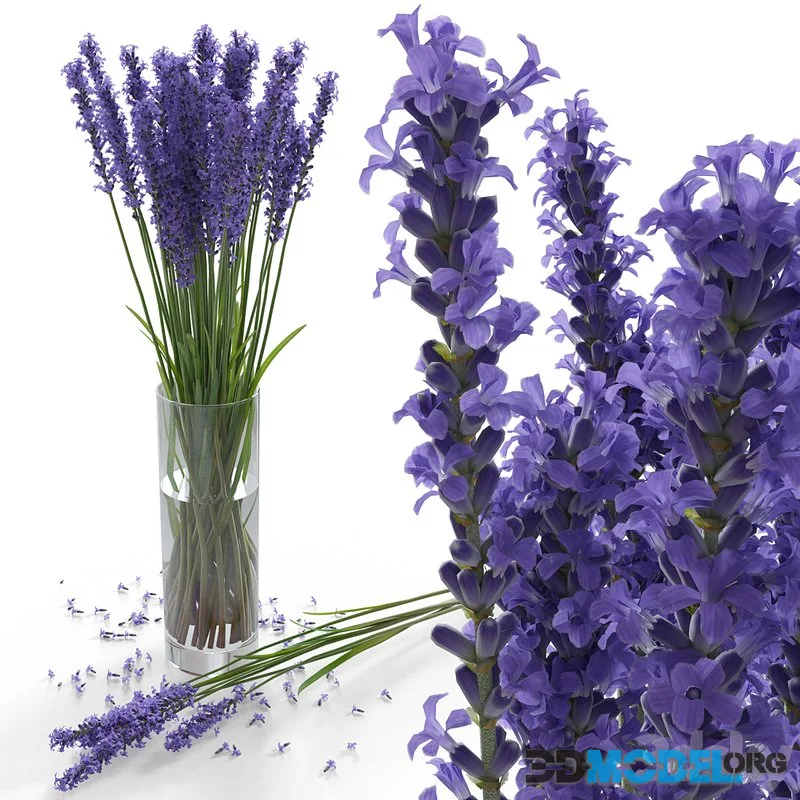 Lavender Bouquet