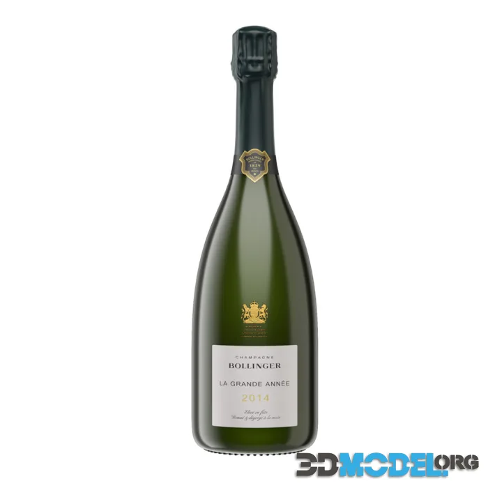 Magnum Champagne 750ml by Bollinger