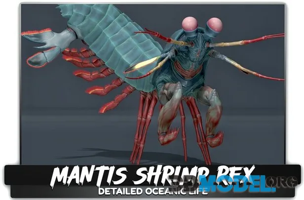 Mantis Shrimp   Rex Rainbow Peacock   #52
