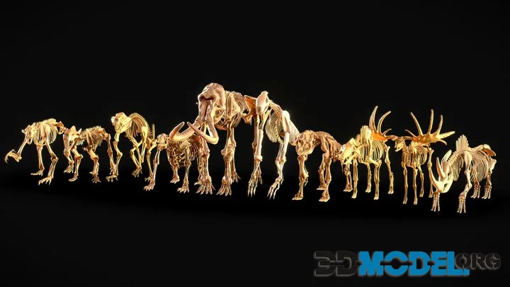 Realistic Mammals Fossil   Bundle Edition (PBR)