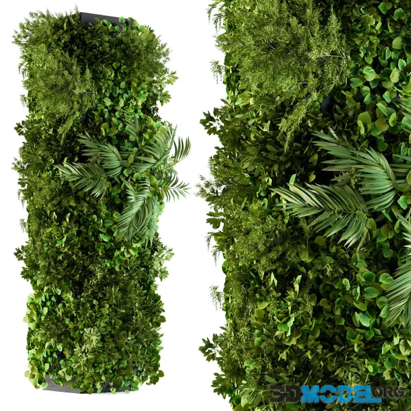 Vertical Garden - Column Plants