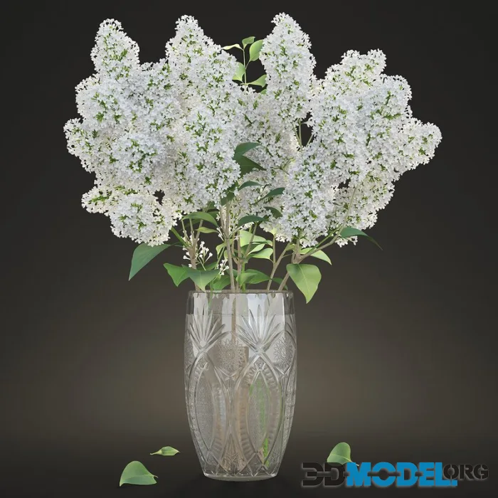 White Lilac in a crystal Vase