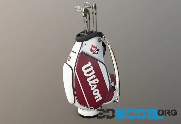 Wilson Golf Bag (PBR)