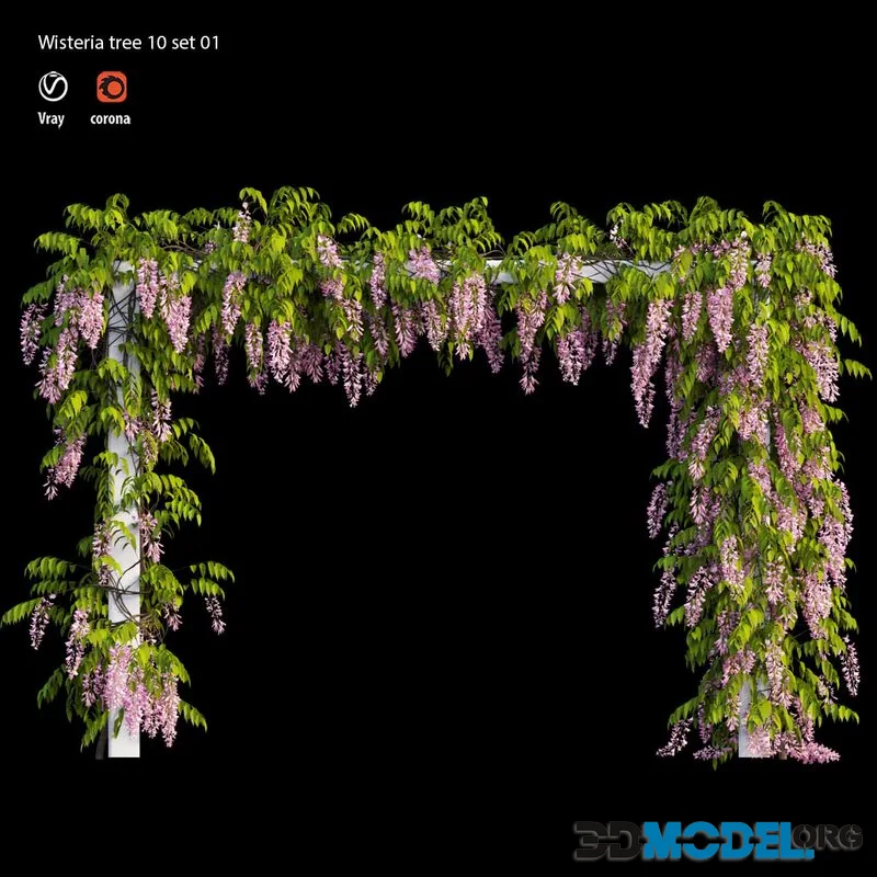 Wisterial tree 10 set 01