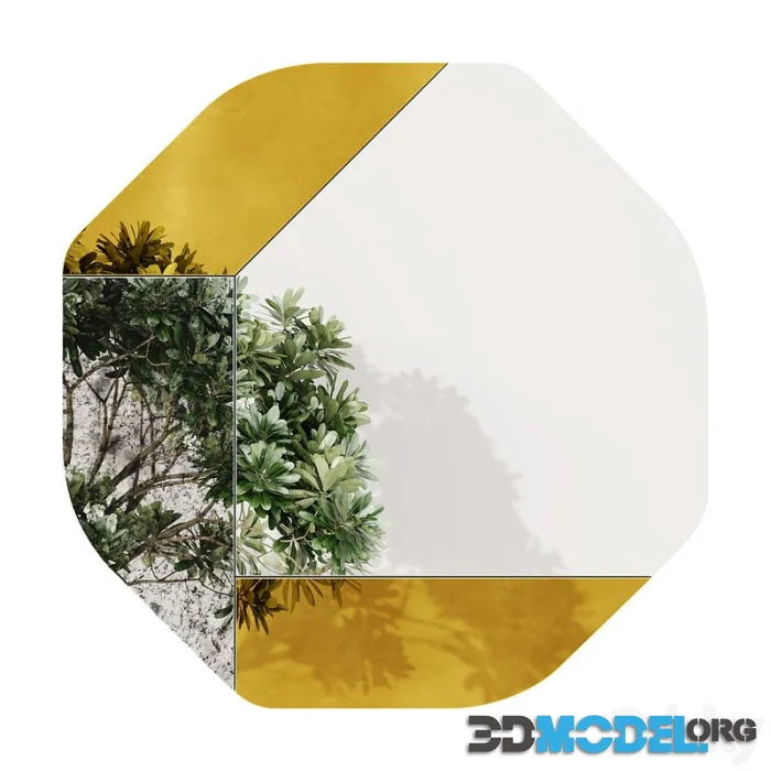 Wrong Geometries mirror