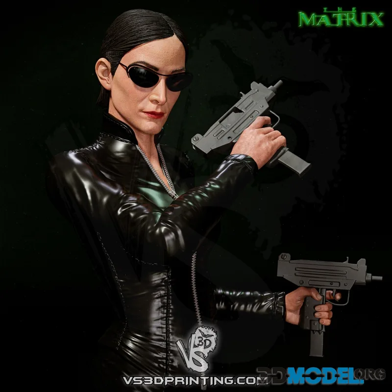 VS3D - Trinity - The Matrix – Printable