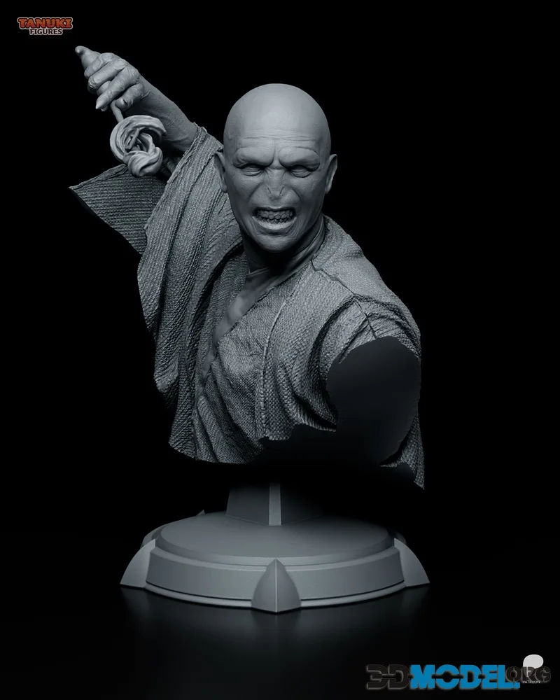 Tanuki Figures - Voldemort Bust – Printable