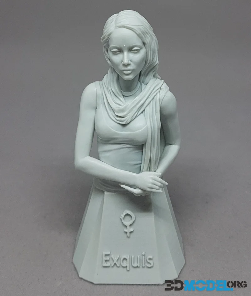 Ouroboros Miniatures - Saanvi Bust – Printable