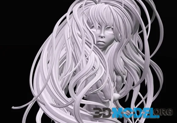 Big Hair Test (PBR)