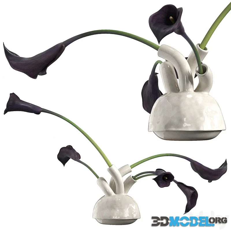 bouquet of calla lilies