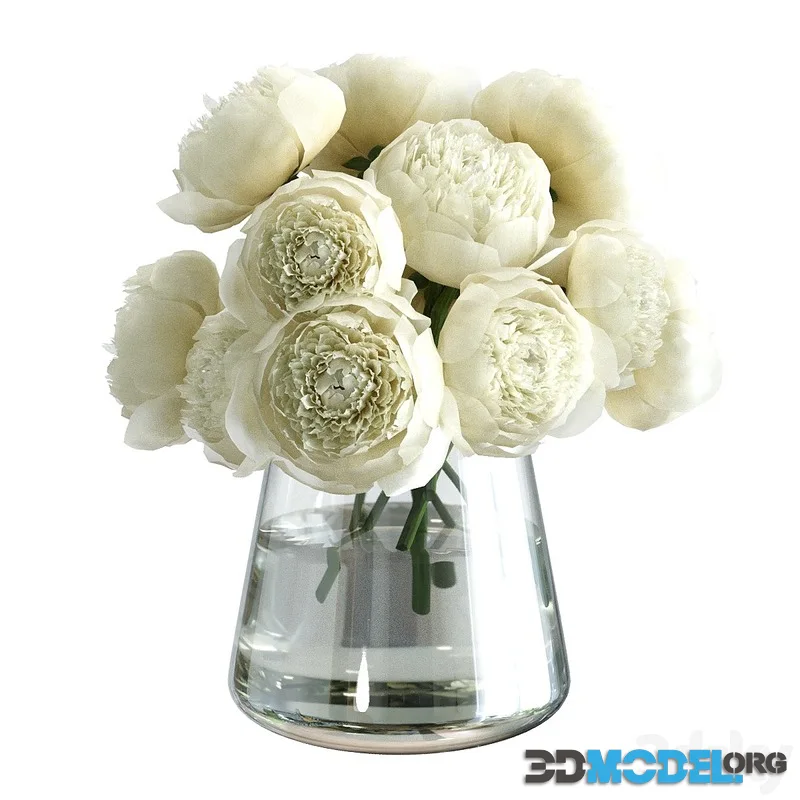 Bouquet of peonies in a vase