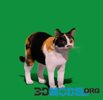Calico Tricolor Cat (Lowpoly) (PBR)