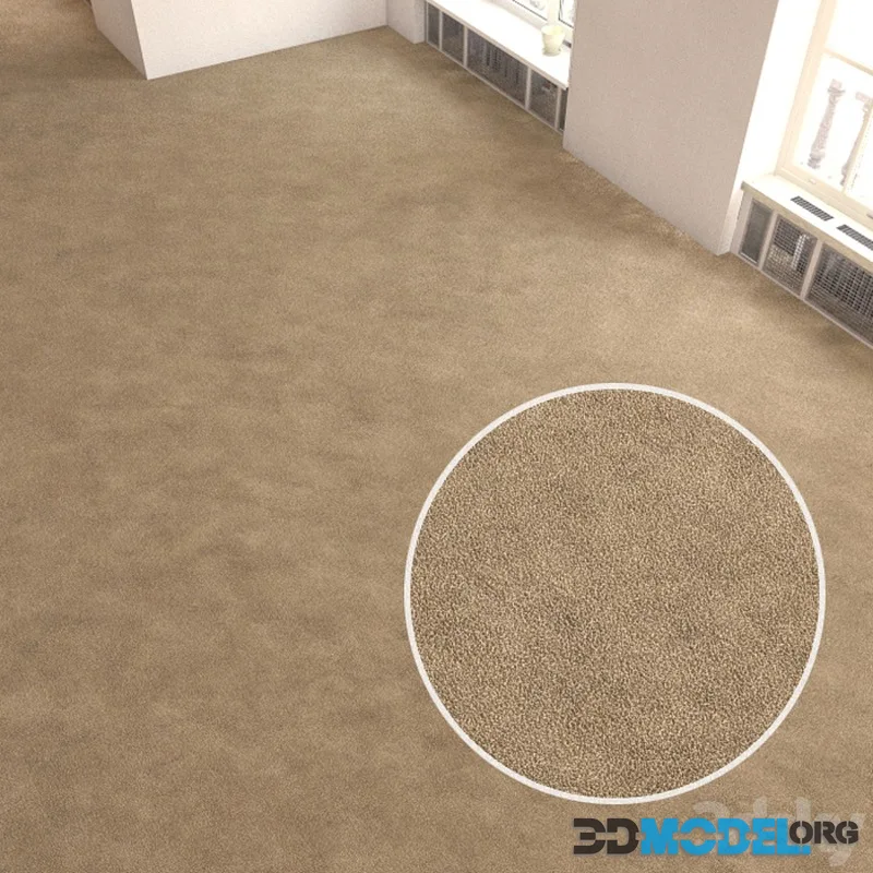 Carpet covering 256