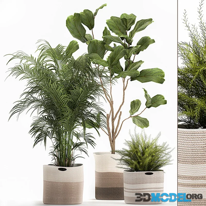 Collection of plants in fabric baskets 1092