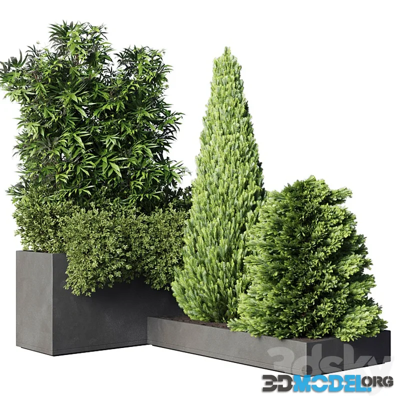 Collection Outdoor plant 50 concrete dirt vase bax pot bamboo tree konica