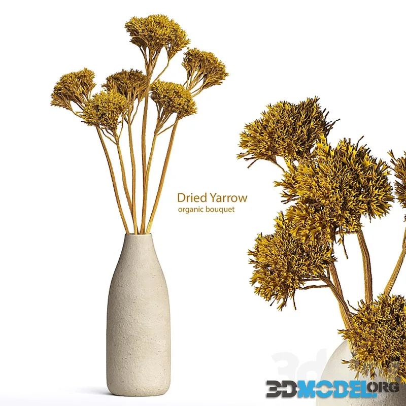 Dried Organic Bouquet Yarrow