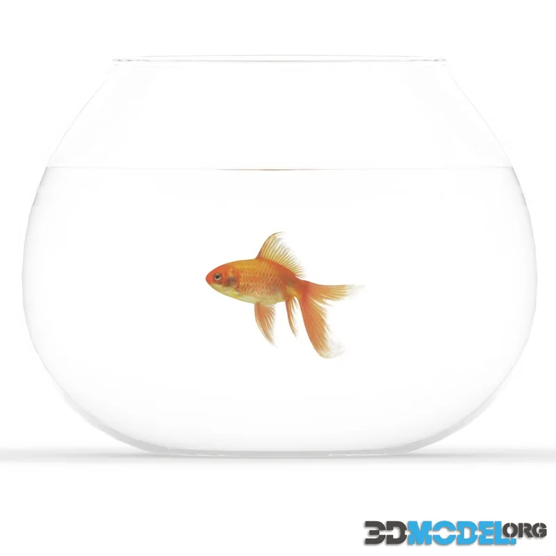 Golden fish