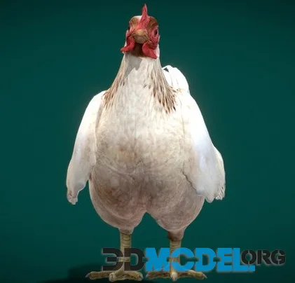 Hen The Chick (Game Redy) (PBR)