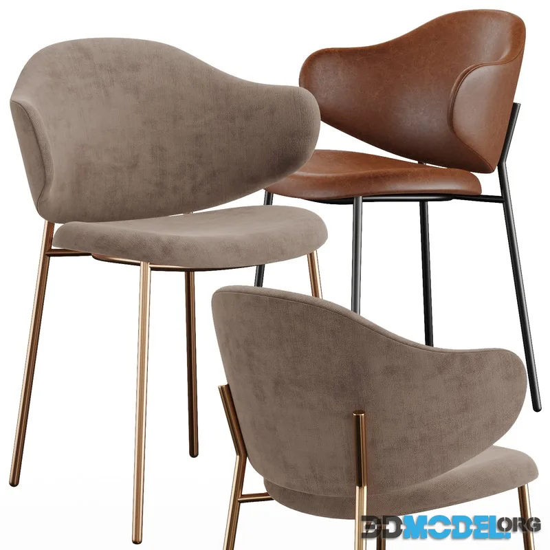 Holly chair Calligaris