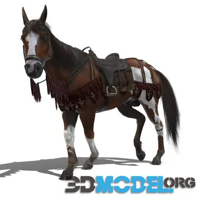 Horse 02 (PBR)