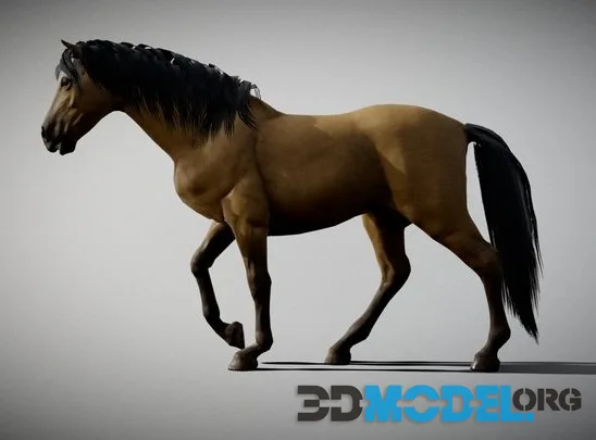 Horse 03 (PBR)