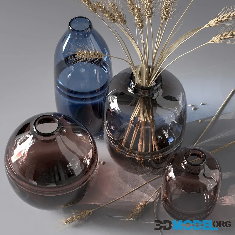 Minimalist Clear Glass Vase
