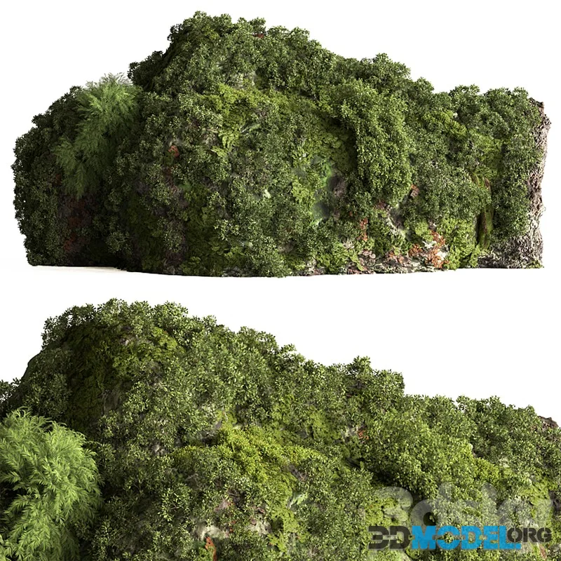 Moss on Stones 08