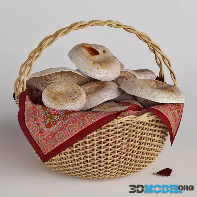 Mushrooms in a basket. White mushrooms