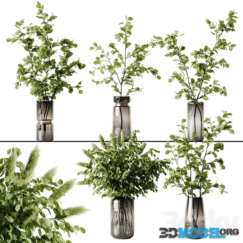 Plant 3