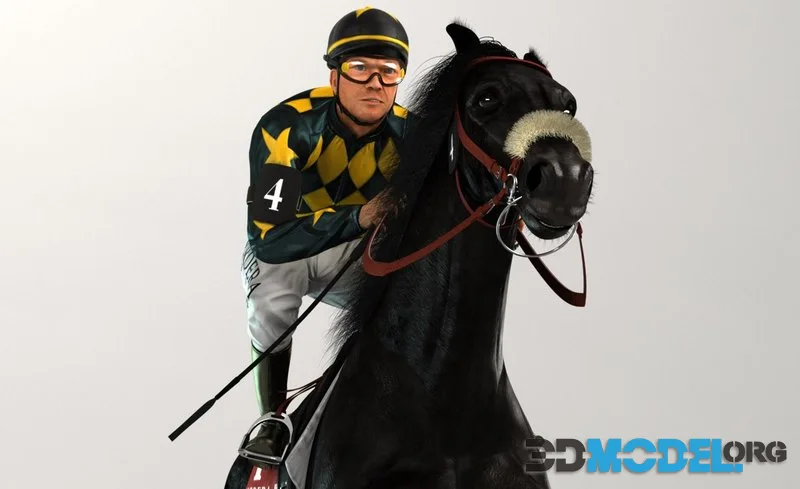 Racehorse and Jockey HQ 003