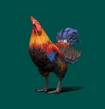 Rooster (PBR)
