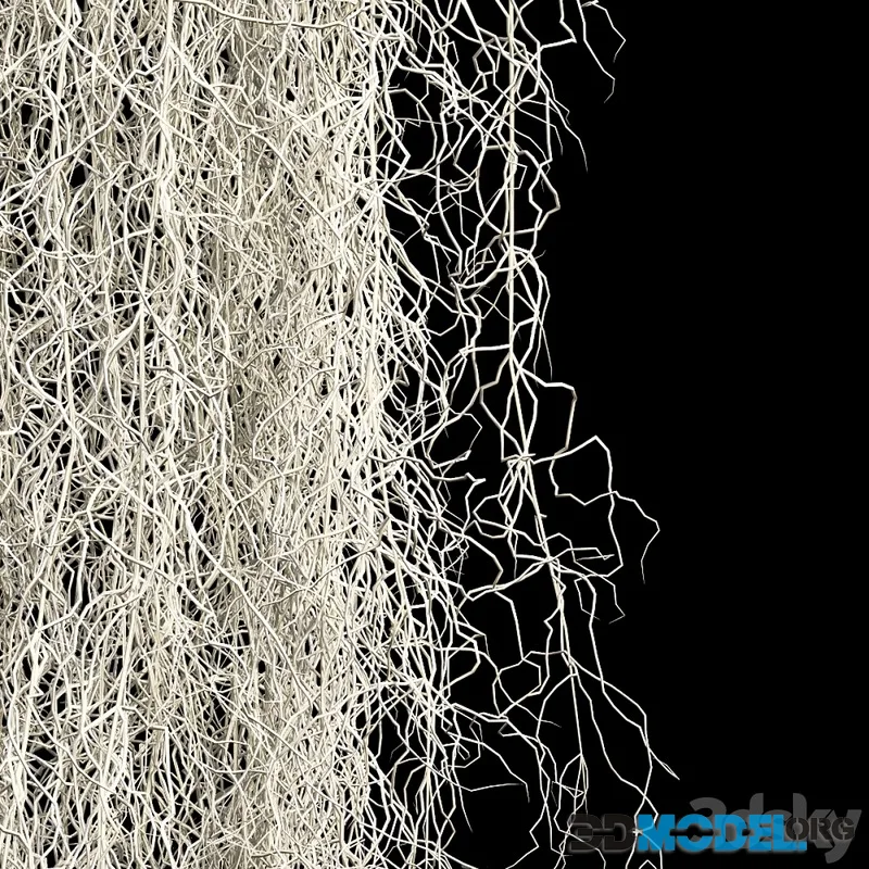Spanish moss