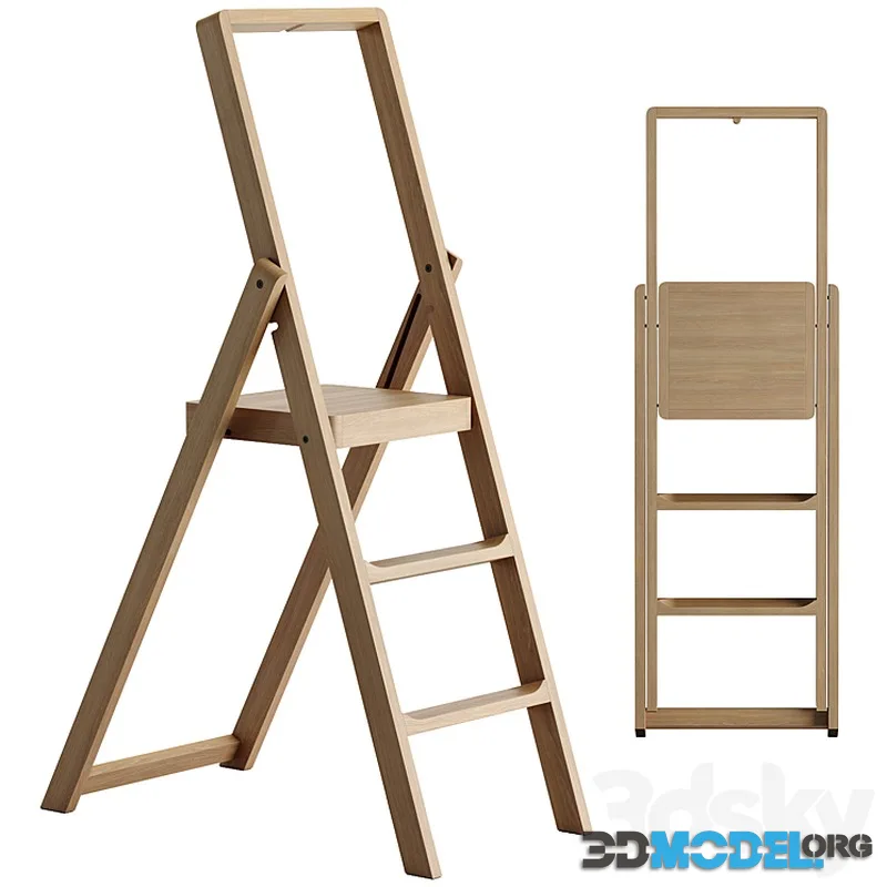 Step Stepladder