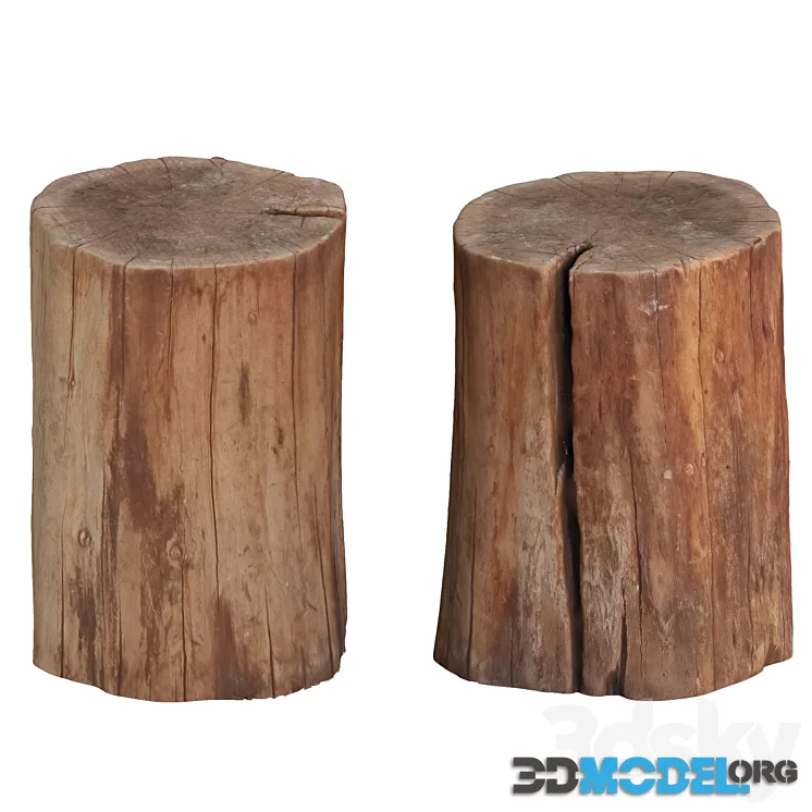 Tree trunk 5