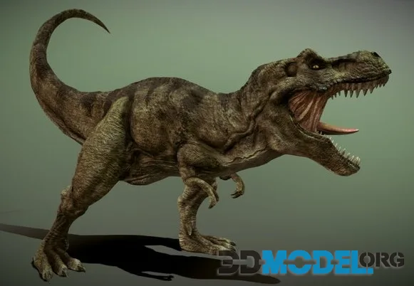 Tyrannosaurus Rex (PBR)