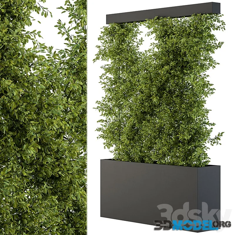 Vertical Garden – Green Wall 39